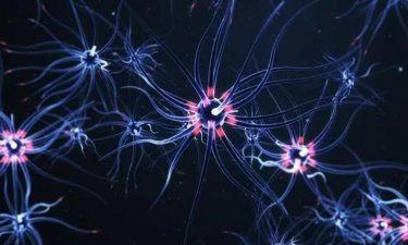 人工智能“突破”：人造神经网络有了语言概括能力 