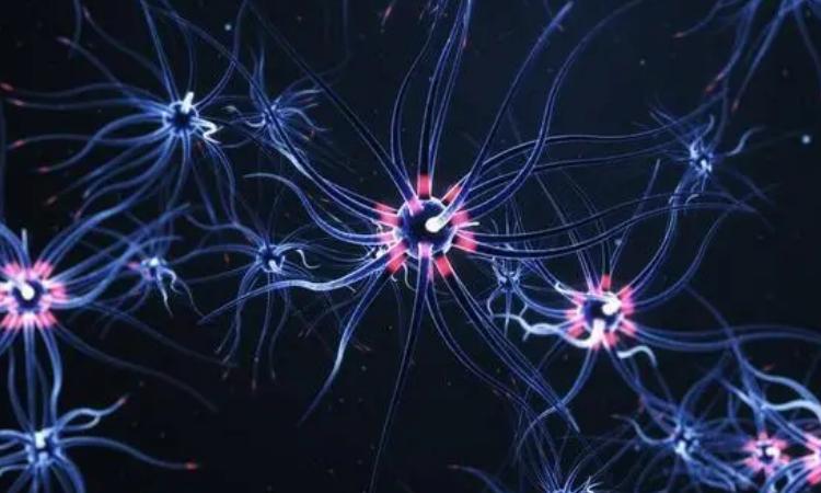 人工智能“突破”：人造神经网络有了语言概括能力 