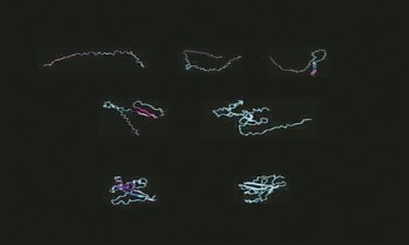科学家利用神经网络设计全新蛋白质